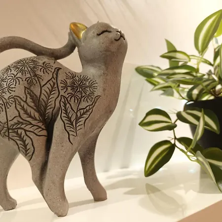 Damjan Daire Soko Banja