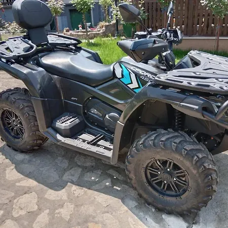 Damjan Daire Soko Banja