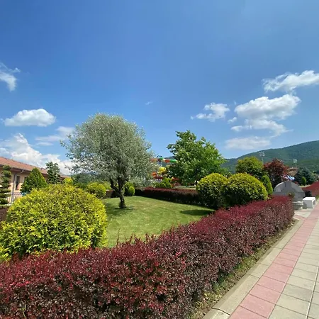 Damjan Soko Banja