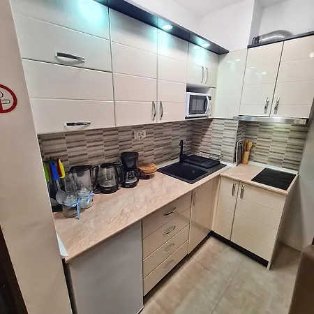 Apartment Damjan