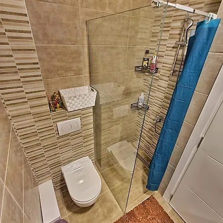 Damjan Apartment Soko Banja