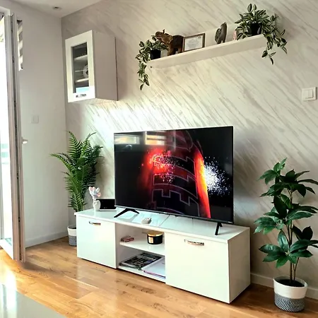Damjan Apartment Soko Banja