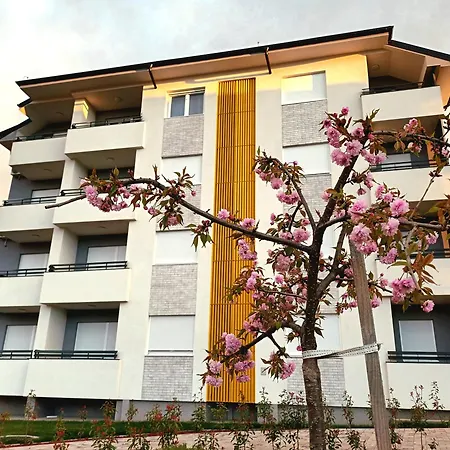 Apartment Damjan *